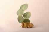 56_1-3-small-copyright.jpg